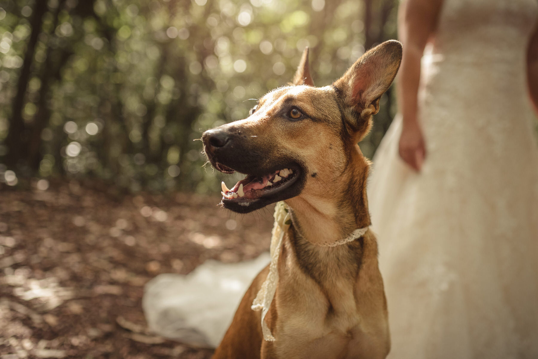 Foto Antonio Estudio - sharay-eleazar-fotoantonio-post011.jpg